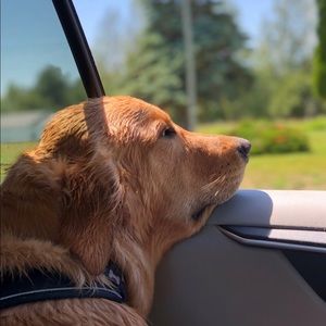 Meet your Posher, Kylee